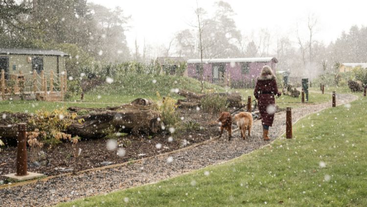 Dog-Friendly Accommodation Galgorm