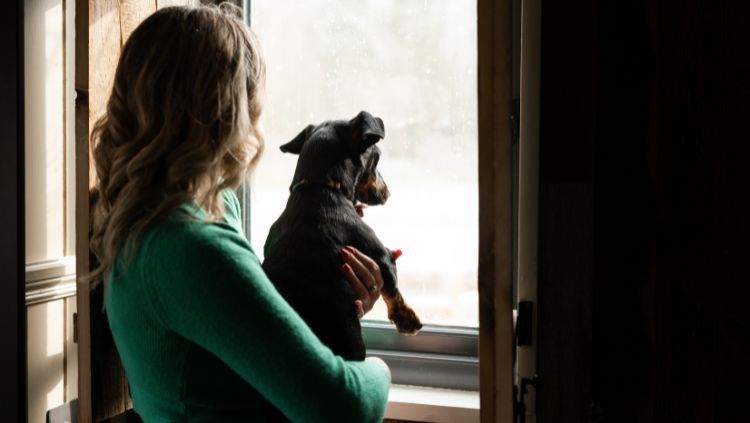 Dog-Friendly Accommodation Galgorm