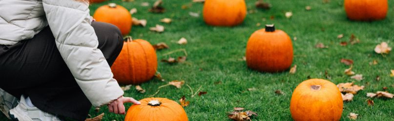 Pumpkin patch menu Galgorm