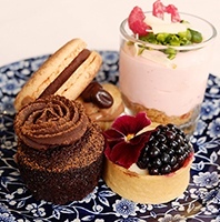 Chocolate Olive Oil Cake | Recipe