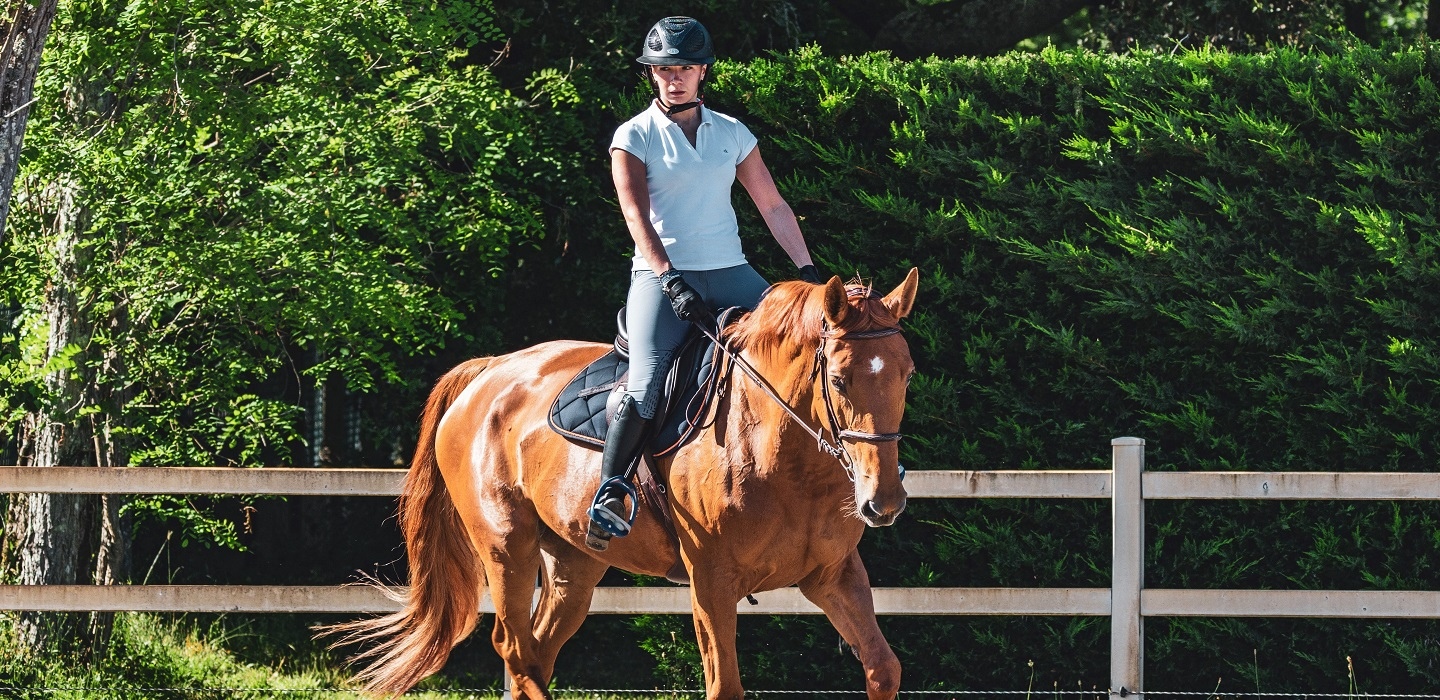 Horse Riding