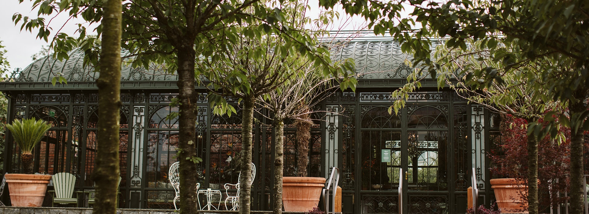 The Palm House