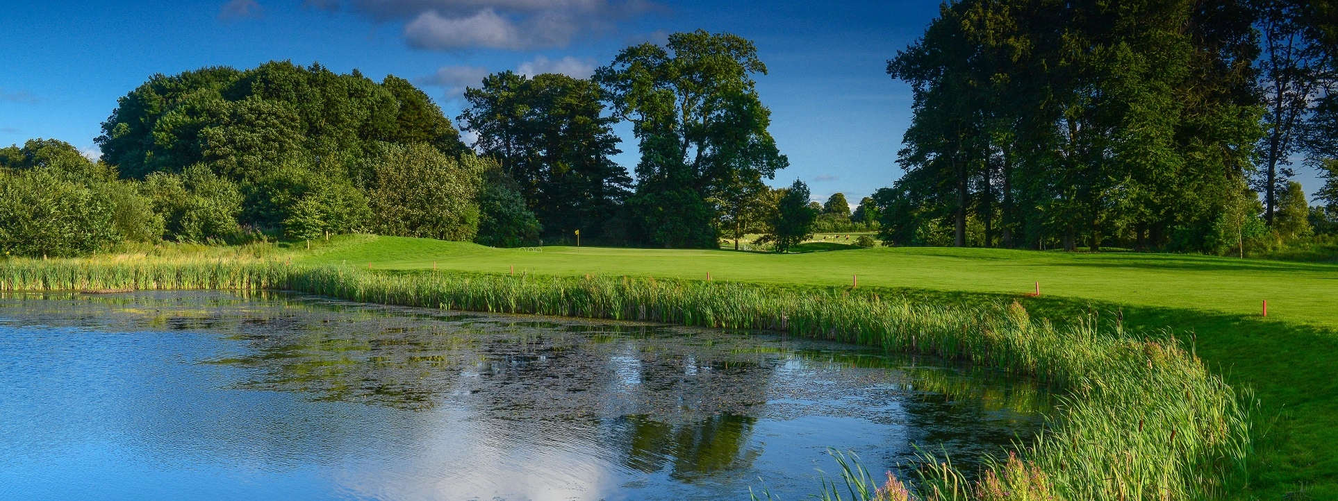 Tee It Up