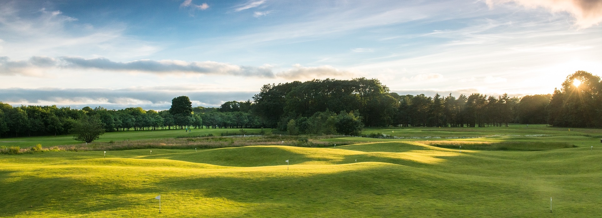 The 'Wee' Course 