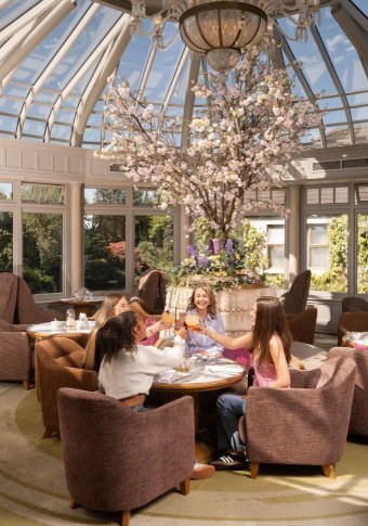 Conservatory & Afternoon Tea