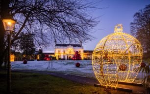 Xmas forest info Galgorm