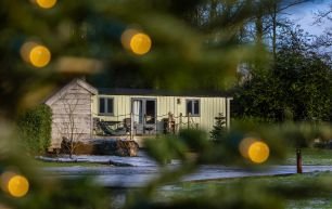 Xmas shepherds info Galgorm