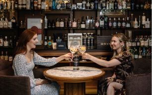 Bombay Sapphire Gin Evening