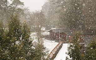 Log Cabin Festive Favourite | Galgorm