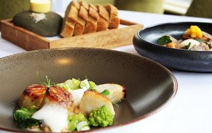 Gourmet Experience